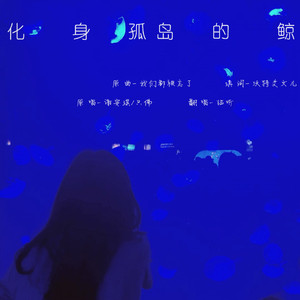 化身孤岛的鲸