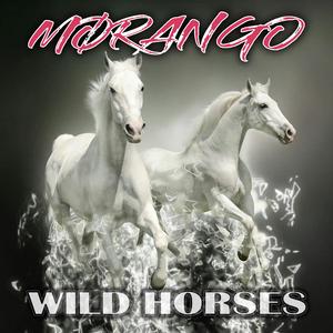 Wild Horses