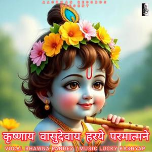 Krishnay vasudevay Haraye Parmatmane