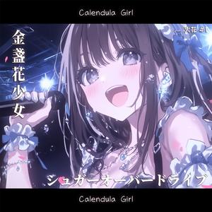 ファイナル・セットリスト