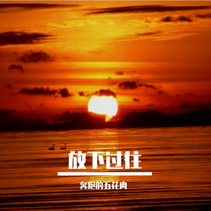 杨千嬅-处处吻dj（小鹏鹏 remix）