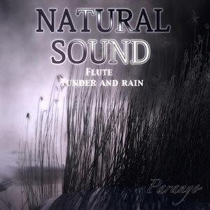 Natural sound Flute Tunder and rain