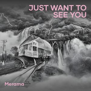 Just Want To See You