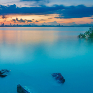 春光明媚 (婴儿哄睡八音盒)