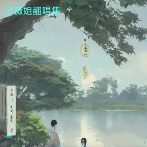 想你的时候问月亮 (翻奏: 佳瑾|舞曲版)