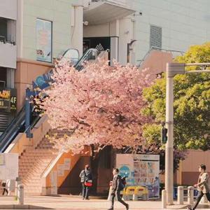 HYPER MUSIC-从我的全世界路过（Prod By HYPER MUSIC）（KiTo remix）