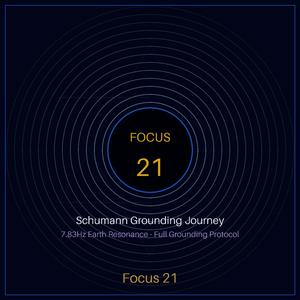 Schumann Grounding