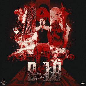 9x19