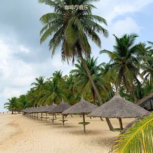 在家里工作轻音乐