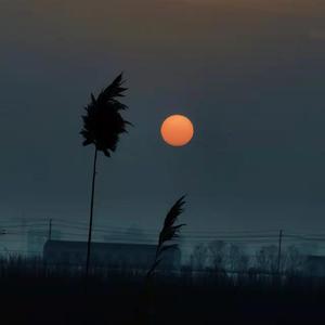 北方（翻自 倪健）