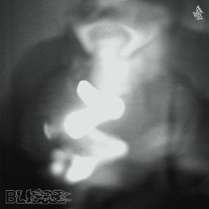 Peering into a Private Void