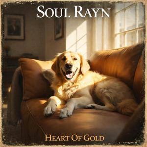 The Sun Will Shine Again (Soul)