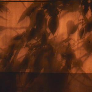 影子prod by Lisure