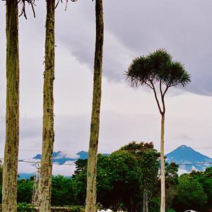 Taranaki