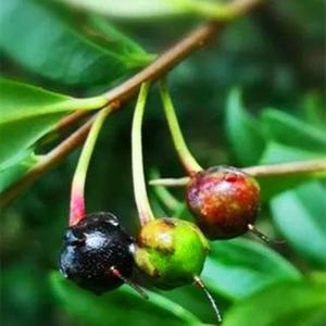 八月你好七月再见了