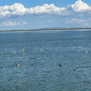 "不敢琢玉又拒瓦砾"