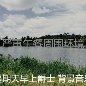 柔和的餐厅时刻