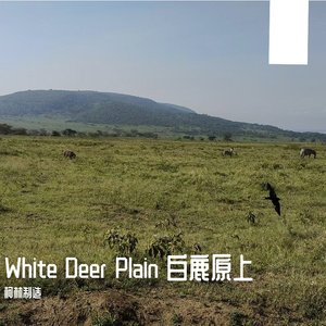 White Deer Plain 白鹿原上