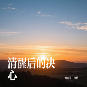 来生不想与你再相遇