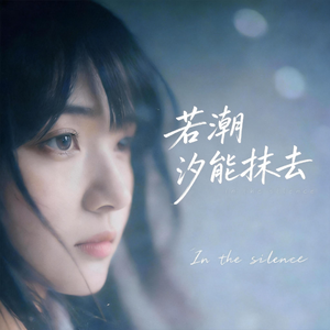 若潮汐能抹去