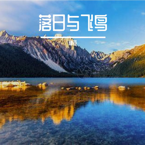 欧锦就很贵