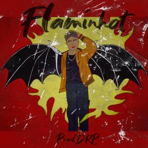 Flamínhot (feat. DRP)