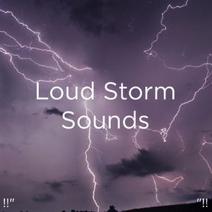 호우 잠