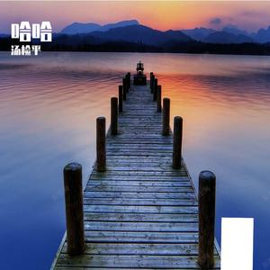 街角路灯下飞蛾的幻梦之舞