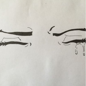 a place above the clouds ☁