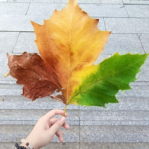 再次出现在你面前