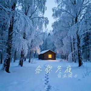 念你冬夜