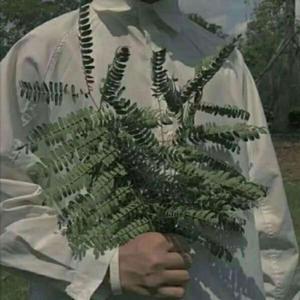 我曾爱过一个人 (DJ野马弹鼓版)