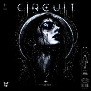 Circuit