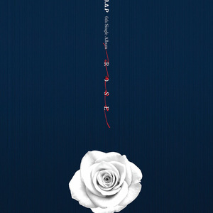 有海有辰星（Cover pcl / punch）