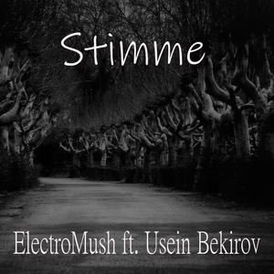 Stimme (feat. Usein Bekirov) (Piano version)