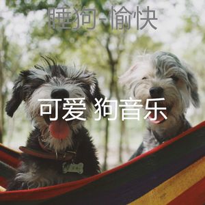 关怀(宠物午睡)