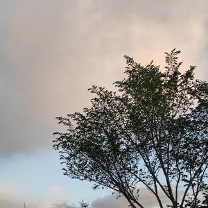 消失了吗（Prod By ATTBEAT/ATTStudio星）