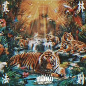 阳光快乐的回忆