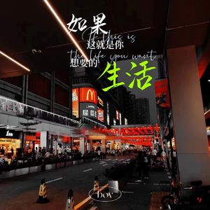 如果这就是你想要的生活(ProdEVOMUSIC)