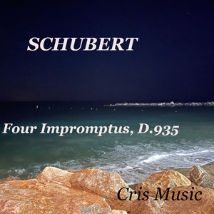 4 Impromptus, D.935: 3. Theme and 5 Variations