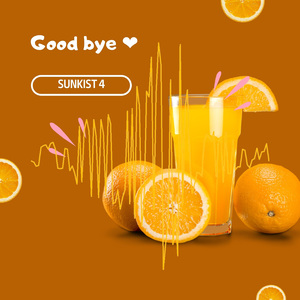Good bye love