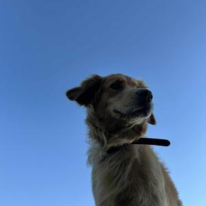 Rivière (drip) (feat. Hulek)