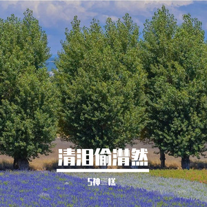 翩翩雪花翻