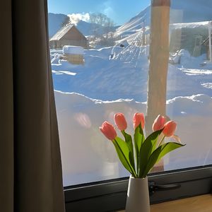 不要只在春天说爱我