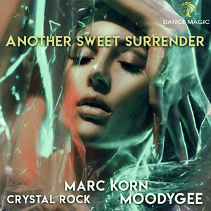 Another Sweet Surrender (Extended Mix)