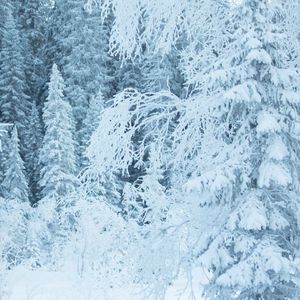 链接所有孤独的岛屿