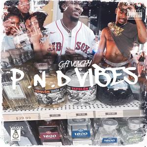 P.N.D. VIBES