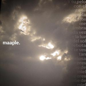maple