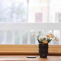 半溪明月枕清风 (古筝纯音乐)