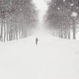 星之所在八音盒纯音乐（翻自 伊藤和子）